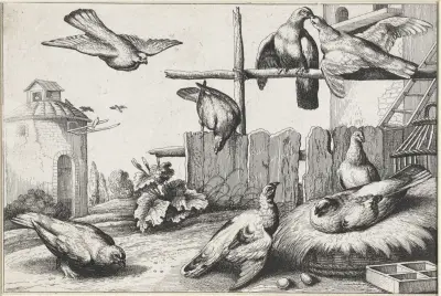 Eight pigeons in a farmyard near a coup; a dovecote in the background av Wenceslaus Hollar