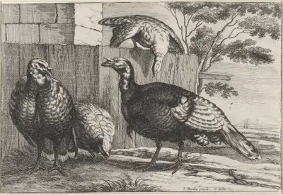 Vier Truthähne an einem Zaun von Wenceslaus Hollar