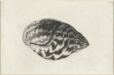 Riesige Ghana-Landschnecke (Achatina achatina) von Wenceslaus Hollar