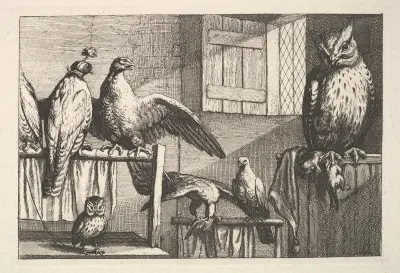 Habichte und Eulen von Wenceslaus Hollar