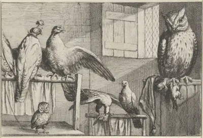 In einem Raum mit Ziegelwand und offenem Fenster, mehrere gefangene Vögel ruhen auf Holzstangen von Wenceslaus Hollar
