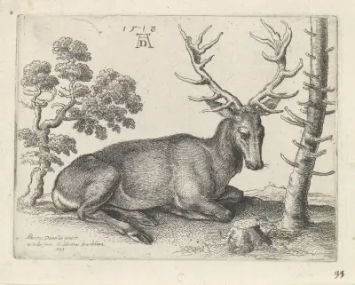 Liegender Hirsch, nach rechts von Wenceslaus Hollar