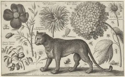 Leopard, Blumen und Insekten von Wenceslaus Hollar