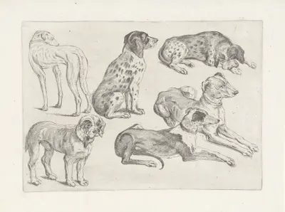 Sechs Jagdhunde von Wenceslaus Hollar