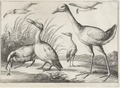 Zwei Kormorane, einer davon mit einem Fisch im Schnabel, ein Reiher und ein großer Watvogel in einer Flusslandschaft von Wenceslaus Hollar