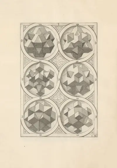Perspectiva Corporum Regularium (Perspective of regular solids) Pl.14 av Wenzel Jamnitzer