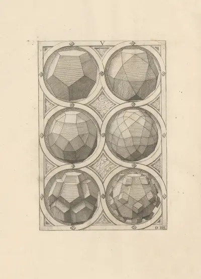 Perspectiva Corporum Regularium (Perspective of regular solids) Pl.17 av Wenzel Jamnitzer