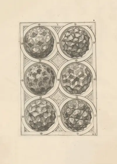 Perspectiva Corporum Regularium (Perspective of regular solids) Pl.20 av Wenzel Jamnitzer