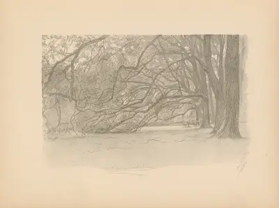 Unser Bismarck Pl.004 av Christian Wilhelm Allers
