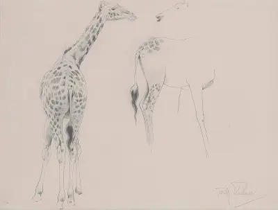 Studie zweier Giraffen von Wilhelm Kuhnert