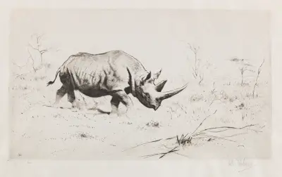Afrikanisches Nashorn von Wilhelm Kuhnert