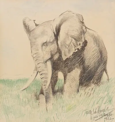 Afrikansk elefant i stäppen av Wilhelm Kuhnert