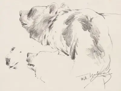 Bären-Studien av Wilhelm Kuhnert
