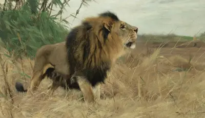 Beberlöwe (Berber Lion) av Wilhelm Kuhnert