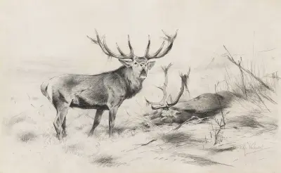 Besiegt (Rothirsche), 1920 – nr 2 av Wilhelm Kuhnert