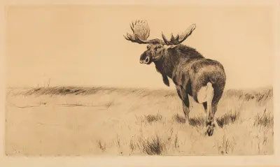 Elk av Wilhelm Kuhnert