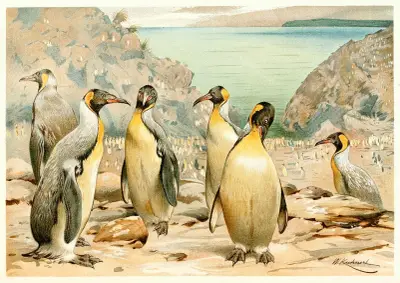 Giant Penguins av Wilhelm Kuhnert