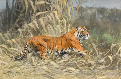 I djungeln (tiger) av Wilhelm Kuhnert