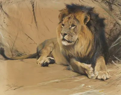 Liegender Löwe av Wilhelm Kuhnert