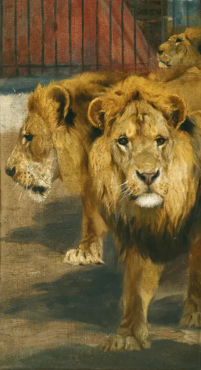 Lions av Wilhelm Kuhnert
