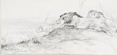 Löwen auf der Lauer von Wilhelm Kuhnert