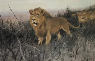 Löwen in verbrannter Steppe von Wilhelm Kuhnert