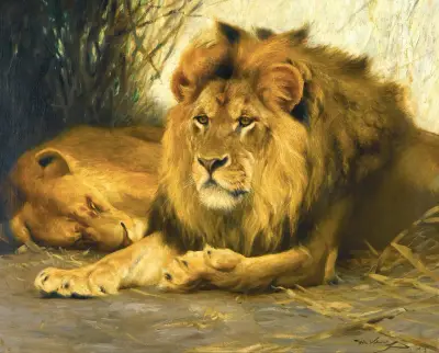 Vilande lejon av Wilhelm Kuhnert