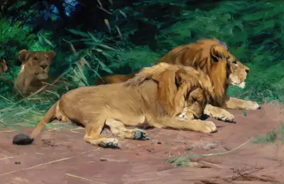 Ruhende Löwen (Lions at Rest) av Wilhelm Kuhnert