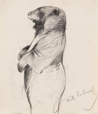 Stehender Bär von Wilhelm Kuhnert