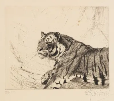Tiger av Wilhelm Kuhnert