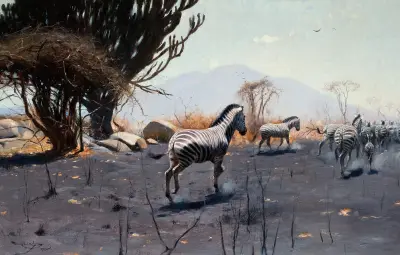 Zebras av Wilhelm Kuhnert