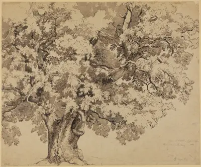 Eiche auf der Wilhelmshöhe bei Kassel av Johann Wilhelm Schirmer