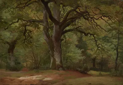 Ekskog i Solling av Johann Wilhelm Schirmer