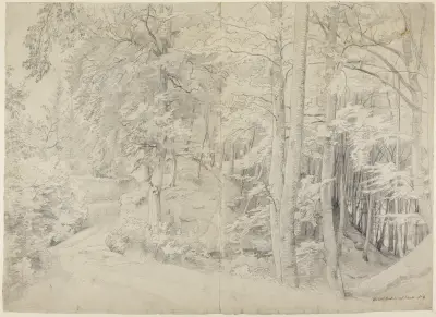 I bokskogen av Johann Wilhelm Schirmer