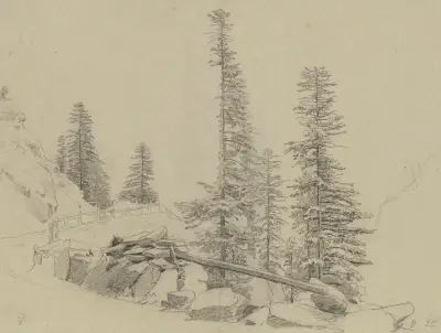 Spruce trees at the Via Mala av Johann Wilhelm Schirmer