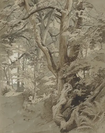 Waldpartie mit einer Eiche und Farnkraut av Johann Wilhelm Schirmer