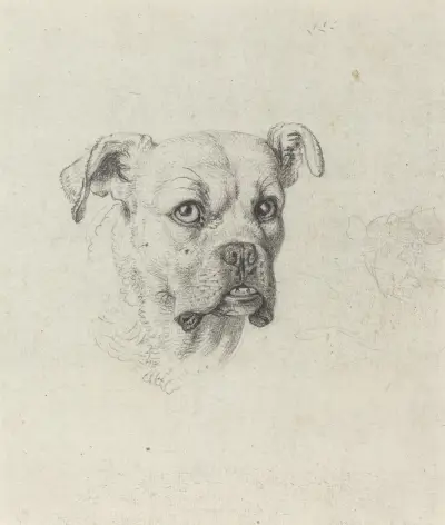 A Boxer av Johann Heinrich Wilhelm Tischbein