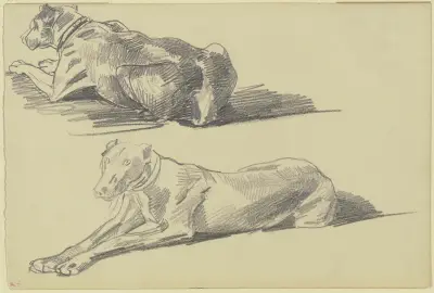 Studienblatt; Die Dogge Cäsar, liegend nach links av Wilhelm Trübner