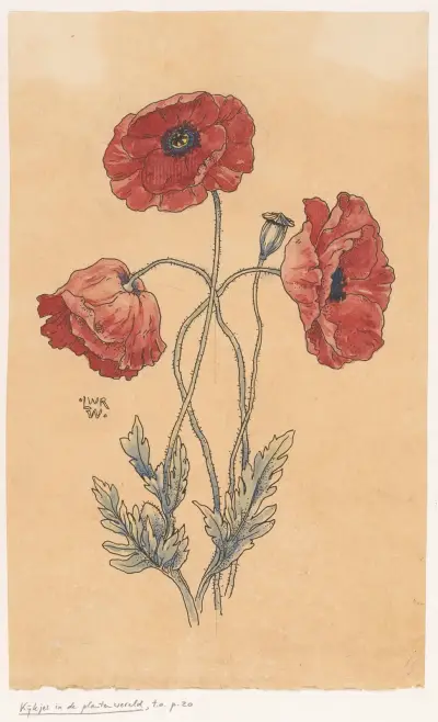 Klaprozen (in or before 1893) av Willem Wenckebach