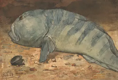 Sidovy av en fisk av Willem Witsen