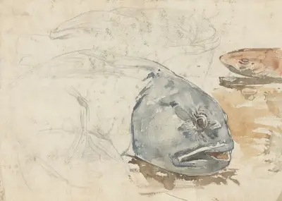Studier av fiskar av Willem Witsen