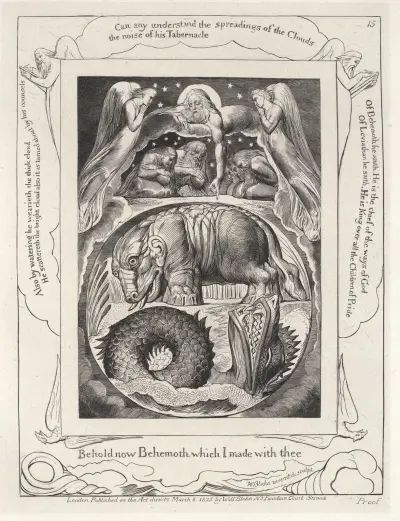 Illustrations of the book of Job Pl.16 av William Blake