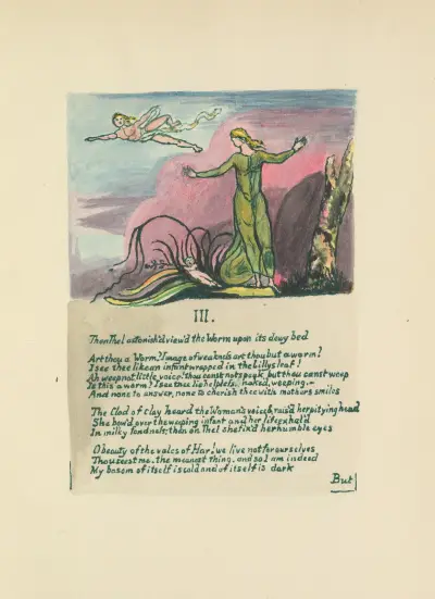 The Book of Thel Pl.5 av William Blake