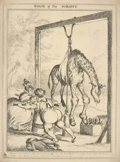 State of the giraffe. av William Heath