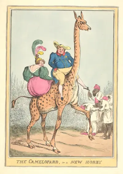 The camelopard, or a new hobby. av William Heath