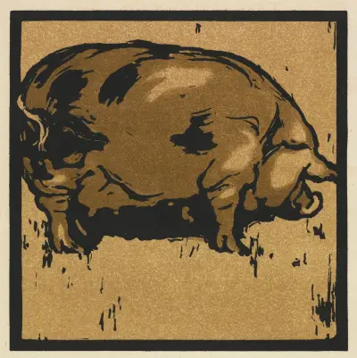 Den lärda grisen av William Nicholson