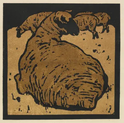 The Square Book of Animals; The Simple Sheep av William Nicholson