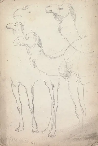 Studier av kameler, Lahore, 17 februari 1860 av William Simpson