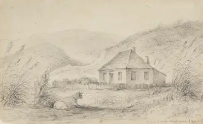 Major Durie’s, Waikanae av William Swainson