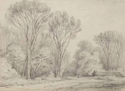 Manuka Grove on Taines Section, Upper Hutt av William Swainson